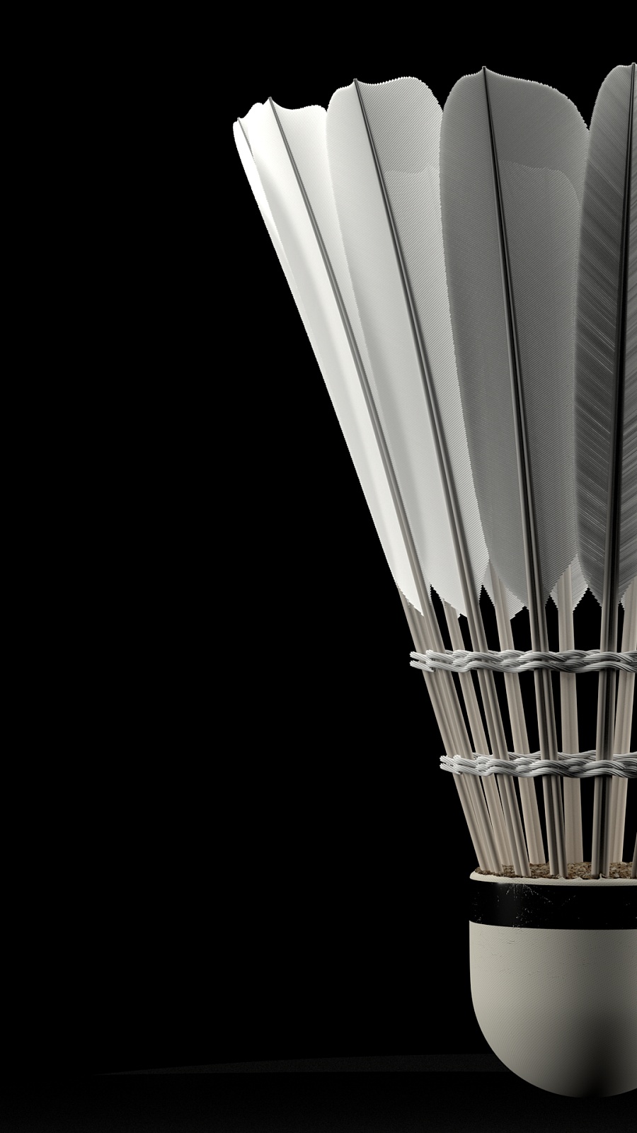 可能撬动雷 可能撬动雷