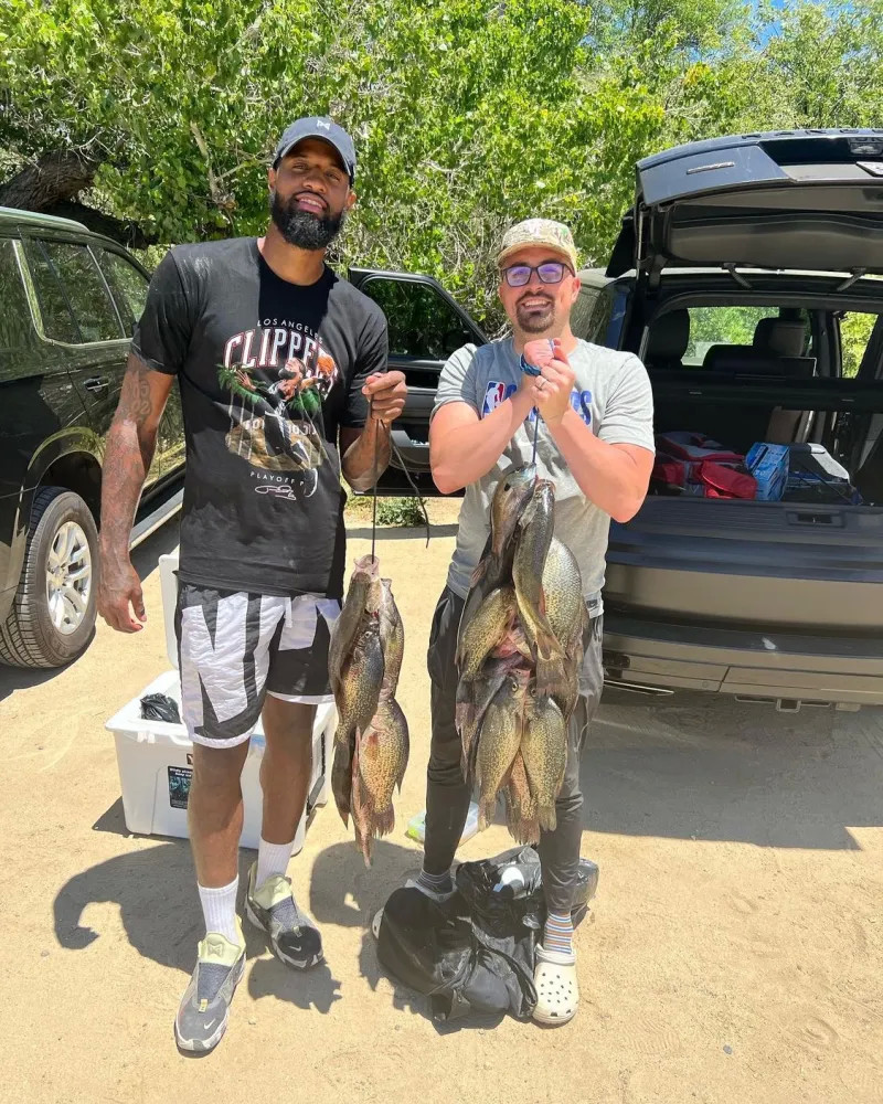 脚本比华丽 脚本比华丽